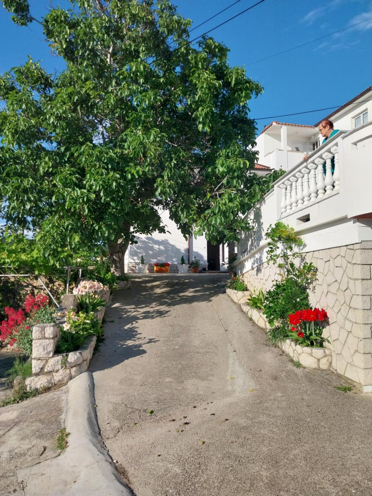 Ljubica Apartments And Rooms 수페타르스카 드라가 외부 사진